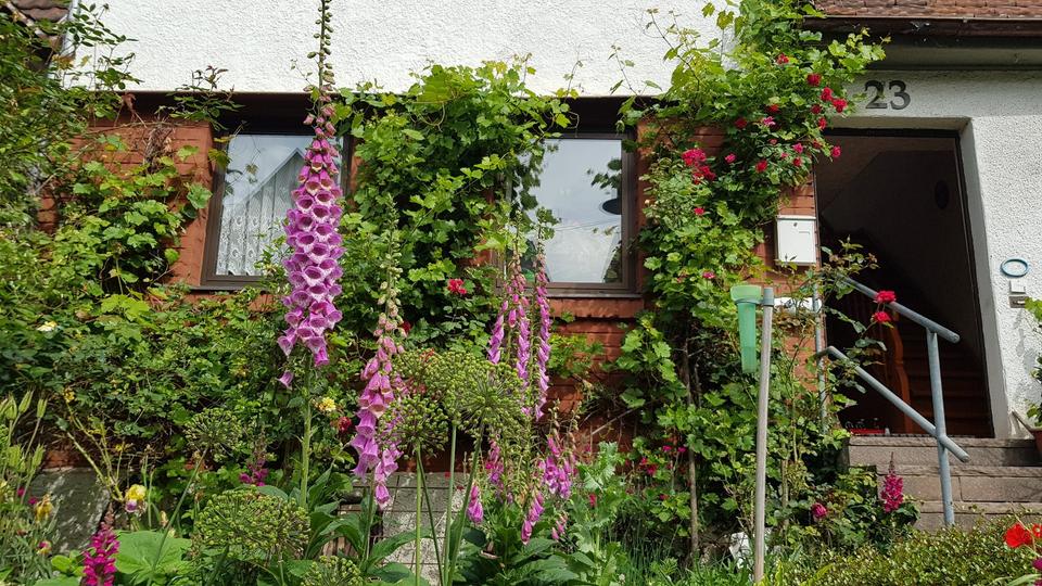 Bauernhaus, Landhaus Ohmden - 5 Zimmer, 120 m&sup2;, 290.000&euro; | Angebot:25612413