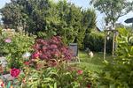 Etagenwohnung Stuttgart Botnang - 4 Zimmer, 80 m&sup2;, 1.200&euro; | Angebot:26546762