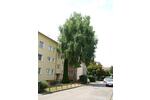 Etagenwohnung Esslingen am Neckar Hegensberg - 2 Zimmer, 50 m&sup2;, 560&euro; | Angebot:26442267