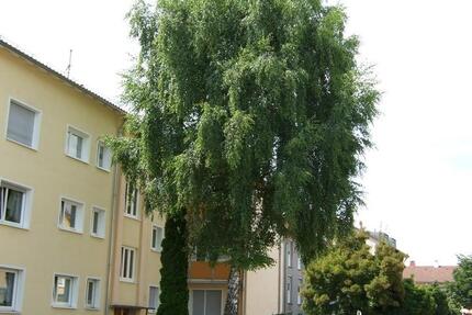 Wohnung Esslingen am Neckar Hegensberg - 2 Zimmer, 50 m&sup2;, 560&euro; | Angebot:26442267