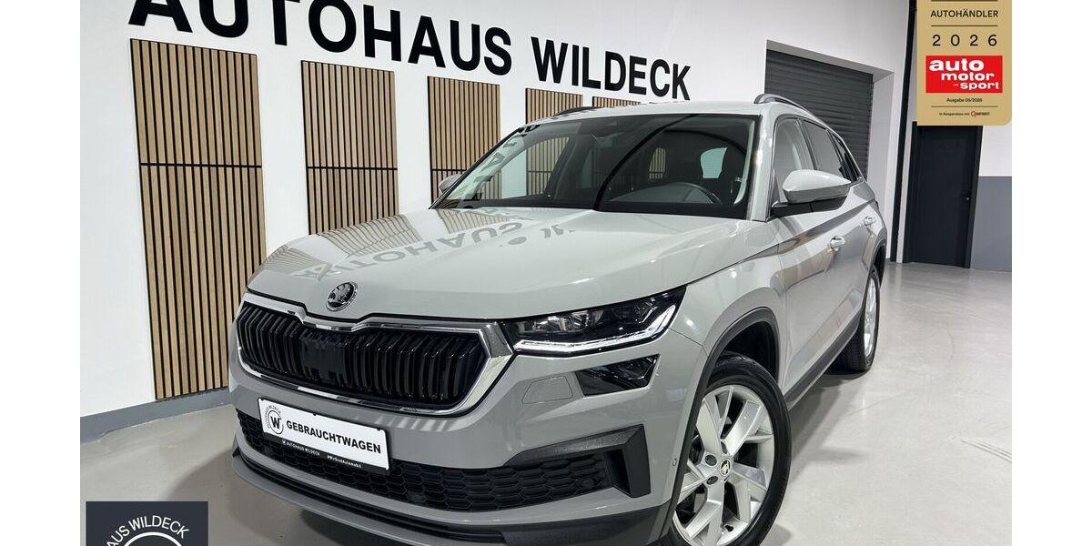 Skoda Kodiaq 110.990 km 27.990 &euro; Abstatt 74232