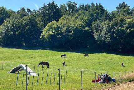 Haus Weissach - 6 Zimmer, 164 m&sup2;, 799.000&euro; | Angebot:23577179