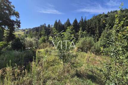 Grundstück Spiegelberg - 150.000&euro; | Angebot:22508726