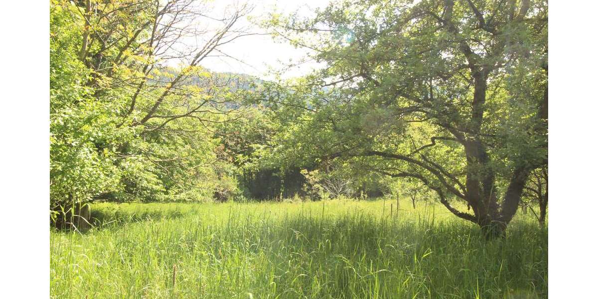 Grundstück Murrhardt - 25.000&euro; | Angebot:20649787