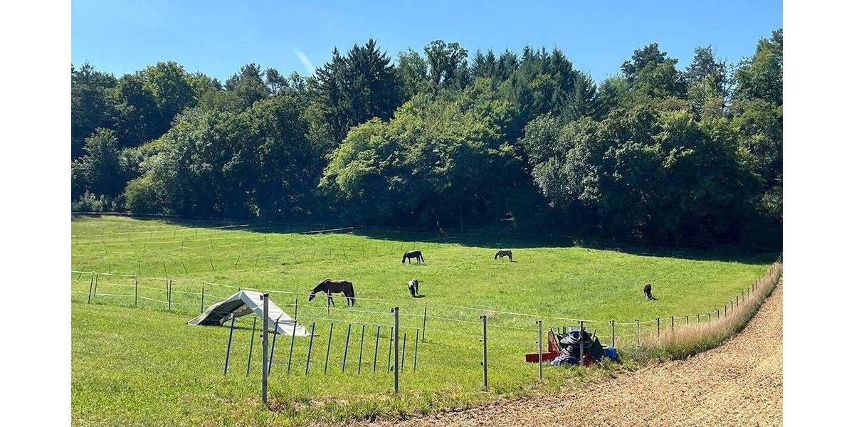 Doppelhaushälfte Weissach Flacht - 6 Zimmer, 164 m&sup2;, 799.000&euro; | Angebot:25687671