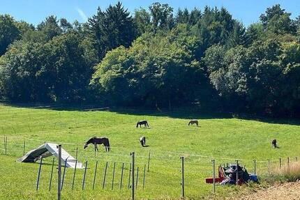 Haus Weissach Flacht - 6 Zimmer, 164 m&sup2;, 799.000&euro; | Angebot:25687671