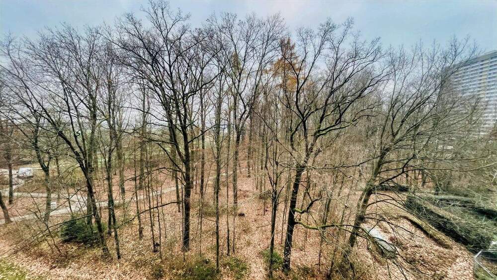 Etagenwohnung Stuttgart Asemwald - 3 Zimmer, 80 m&sup2;, 177.000&euro; | Angebot:25687070