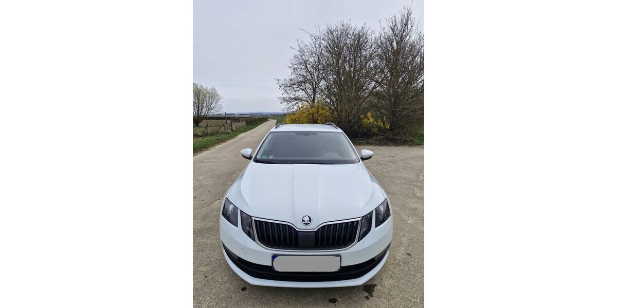 Skoda Octavia 162.165 km 8.600 &euro; Filderstadt 70794