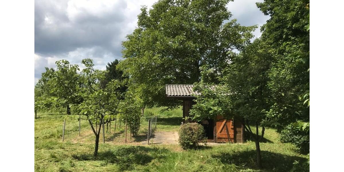 Grundstück Schorndorf - 42.000&euro; | Angebot:26359020