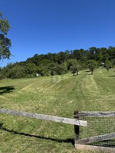 NATURIDYLLE MIT FREIZEITHAUS-OPTION - Grundstück Leonberg | Angebot:27674456
