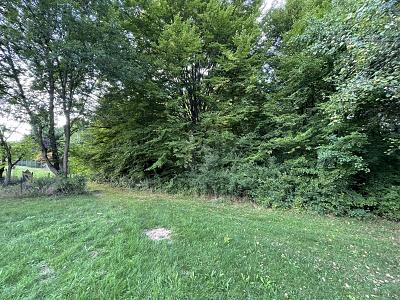 VIELSEITIGES ANWESEN  IDEEN OHNE GRENZEN - Grundstück Steinenbronn | Angebot:26550817