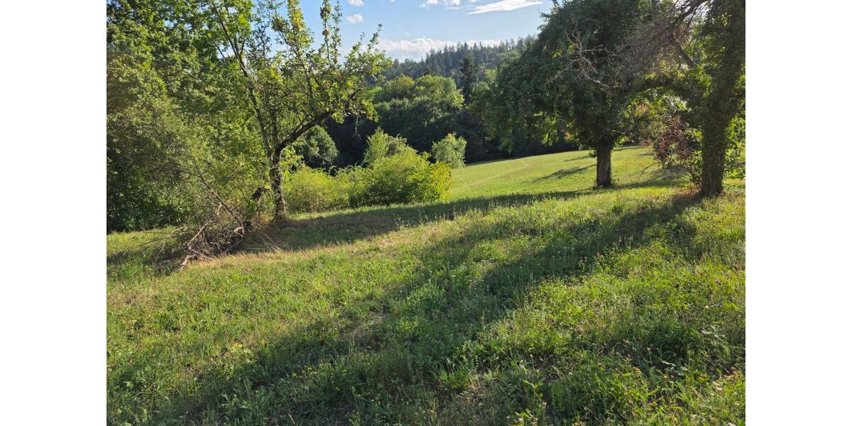 Provisionsfrei* Schönes Einfamilienhaus in Göppingen-Adelberg - Einfamilienhaus Göppingen Bartenbach | Angebot:27316795