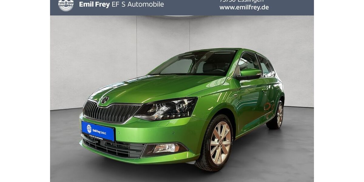 Skoda Fabia 133.362 km 6.990 &euro; Esslingen 73730