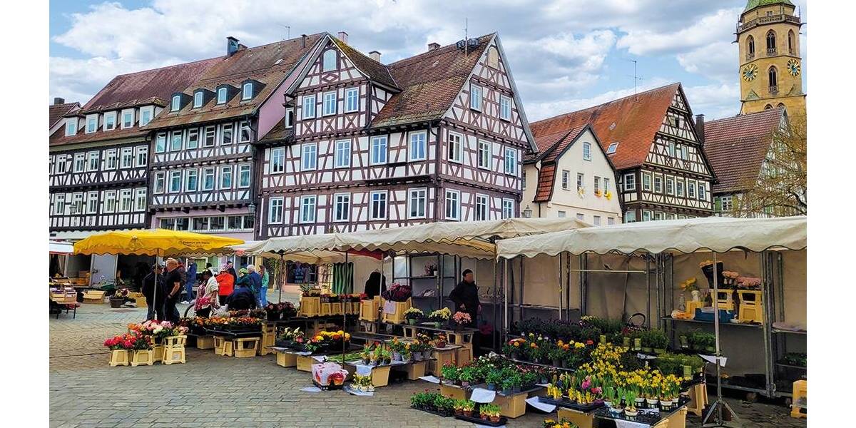 Gewerbeobjekt Schorndorf - 495.000&euro; | Angebot:26017533