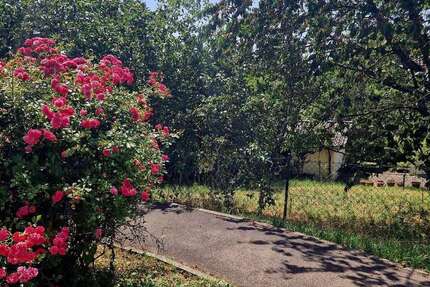 Grundstück Göppingen Faurndau - 149.000&euro; | Angebot:24661696