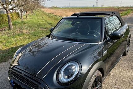 Mini Cooper Cabrio 24.600 km 26.000 &euro; Tamm 71732