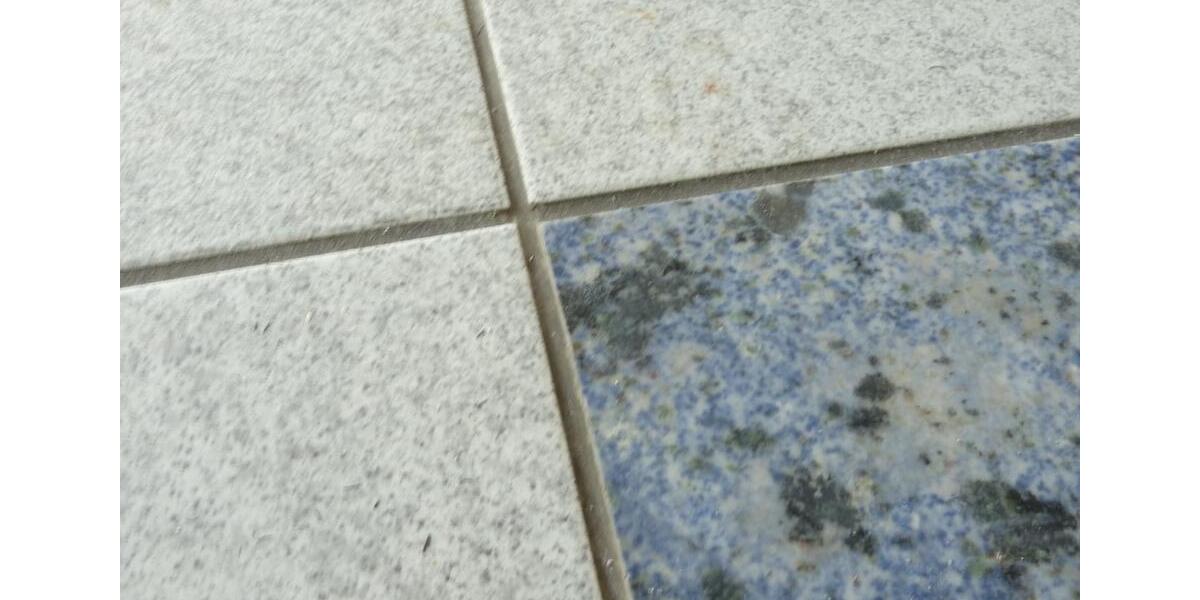 Gewerbeobjekt Filderstadt - 750&euro; | Angebot:25863146