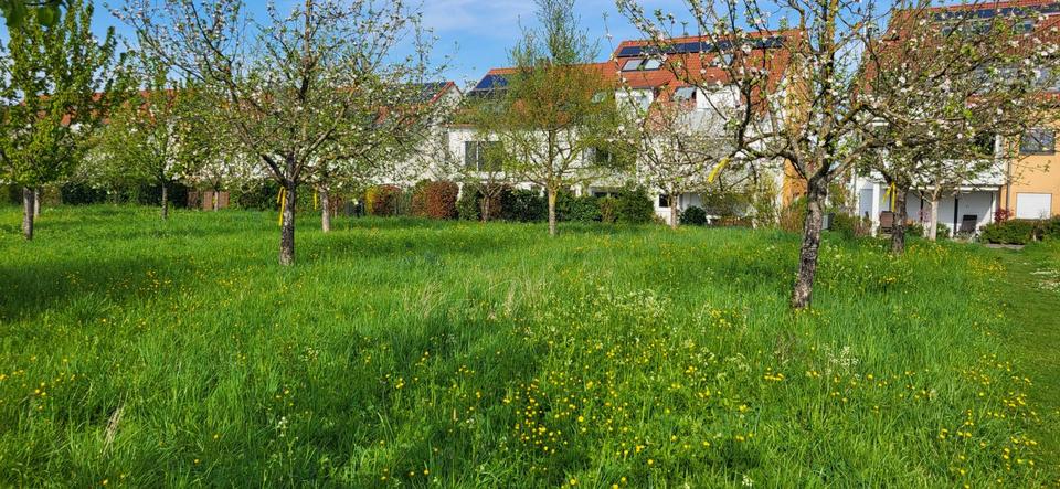 Erdgeschoßwohnung Tamm - 2 Zimmer, 60 m&sup2;, 315.000&euro; | Angebot:25516773