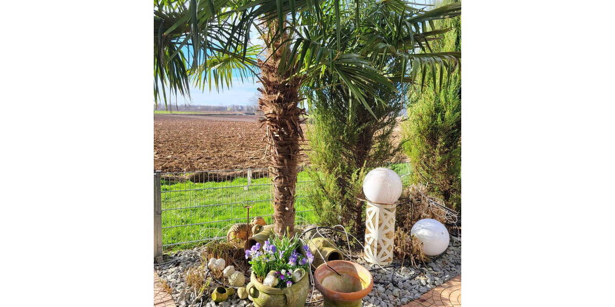 Terrassenwohnung Untergruppenbach - 3 Zimmer, 93 m&sup2;, 389.000&euro; | Angebot:25996835