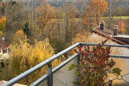 Wohnung Reichenbach an der Fils - 3.5 Zimmer, 110 m&sup2;, 352.000&euro; | Angebot:24696197