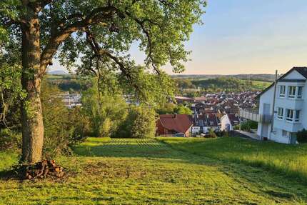 Grundstück Reichenbach - 249.000&euro; | Angebot:25977064