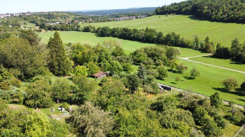 Mehrfamilienhaus, Wohnhaus Weil im Schönbuch - 1 Zimmer, 1.550.000&euro; | Angebot:25744298