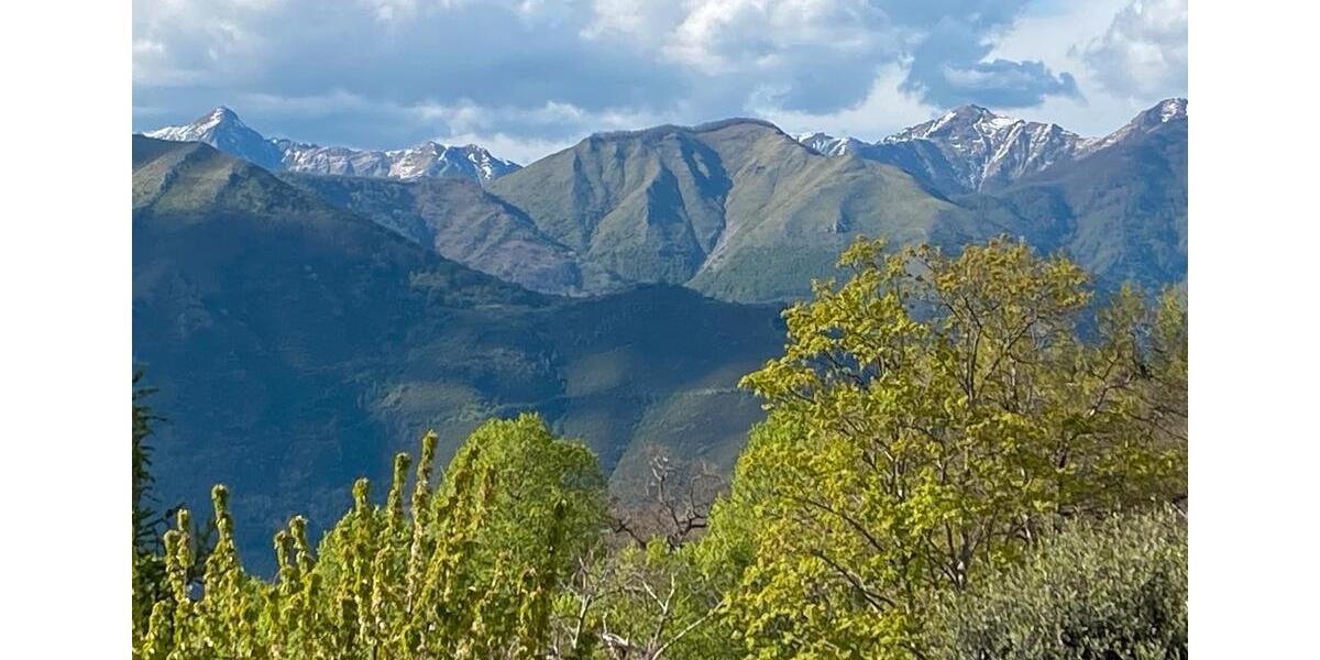 Reihenhaus Stuttgart Stuttgart-Nord - 6 Zimmer, 300 m&sup2;, 150.000&euro; | Angebot:25980863