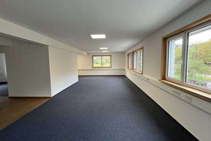 Gewerbeobjekt Vaihingen - 2.700&euro; | Angebot:25196079