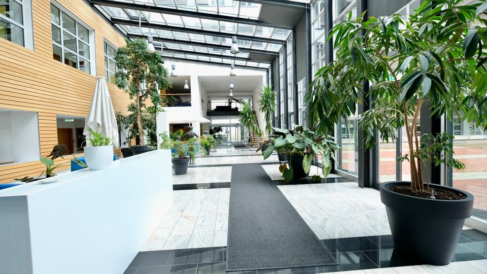 Etagenwohnung Stuttgart Stuttgart-Süd - 2 Zimmer, 66 m&sup2;, 990&euro; | Angebot:25576436