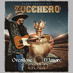 Parkticket - Zucchero