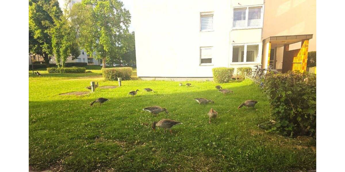 Wohnen direkt am Böblinger Park und Oberen See - 4-Zimmer-Wohnung und Aufzug – - Etagenwohnung Böblingen | Angebot:26940430
