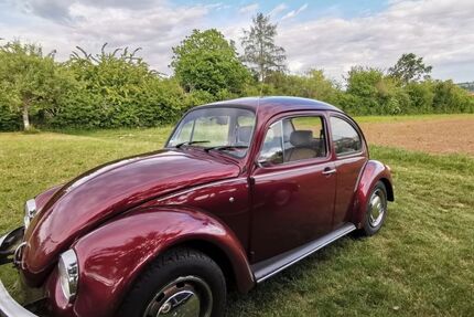 VW Käfer 139.849 km 6.900 &euro; Beilstein 71717