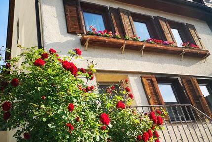 Wohnung Ingersheim - 3.5 Zimmer, 81 m&sup2;, 1.100&euro; | Angebot:25959564