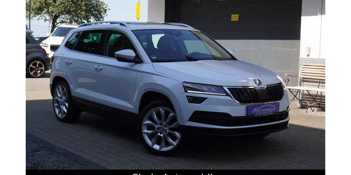 Skoda Karoq 173.000 km 15.999 &euro; Owen 73277