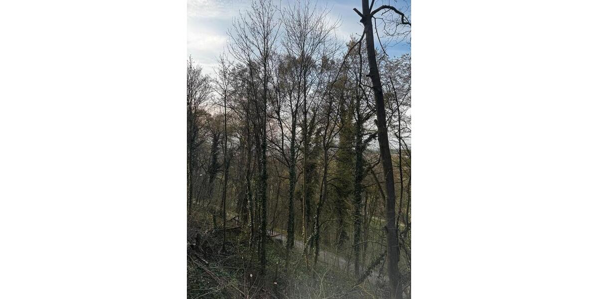 Erdgeschoßwohnung Bietigheim-Bissingen Bissingen - 3 Zimmer, 65 m&sup2;, 329.000&euro; | Angebot:25883498