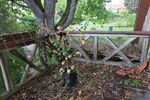 Provisionsfrei* Schönes Einfamilienhaus in Göppingen-Adelberg - Einfamilienhaus Göppingen Bartenbach | Angebot:27316795