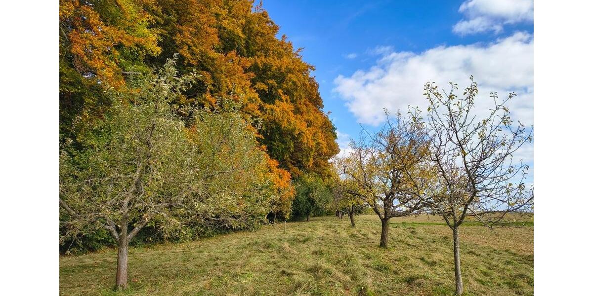 Grundstück Schorndorf - 42.000&euro; | Angebot:26359020