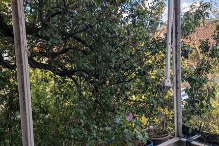 Wohnung Stuttgart Feuerbach - 4 Zimmer, 86 m&sup2;, 890&euro; | Angebot:26670392