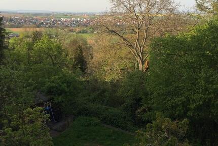 Wohnung Leonberg - 2 Zimmer, 65 m&sup2;, 635&euro; | Angebot:26044728