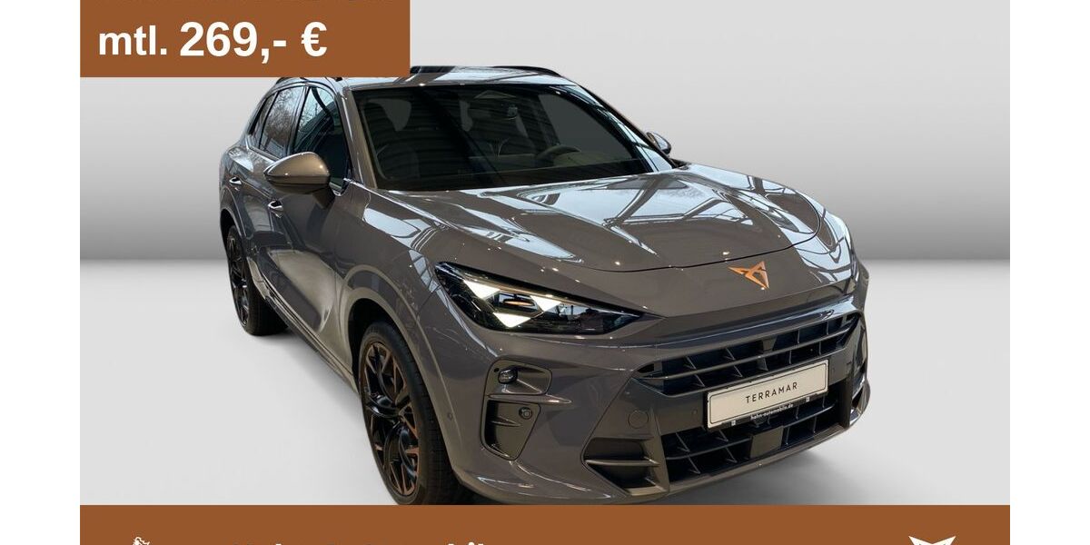 Cupra Terramar 14.900 km 43.990 &euro; Göppingen 73037