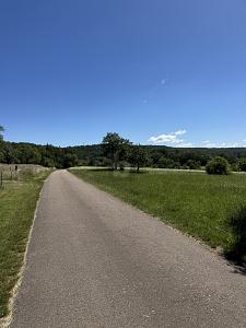 NATURIDYLLE MIT FREIZEITHAUS-OPTION - Grundstück Leonberg | Angebot:27674456