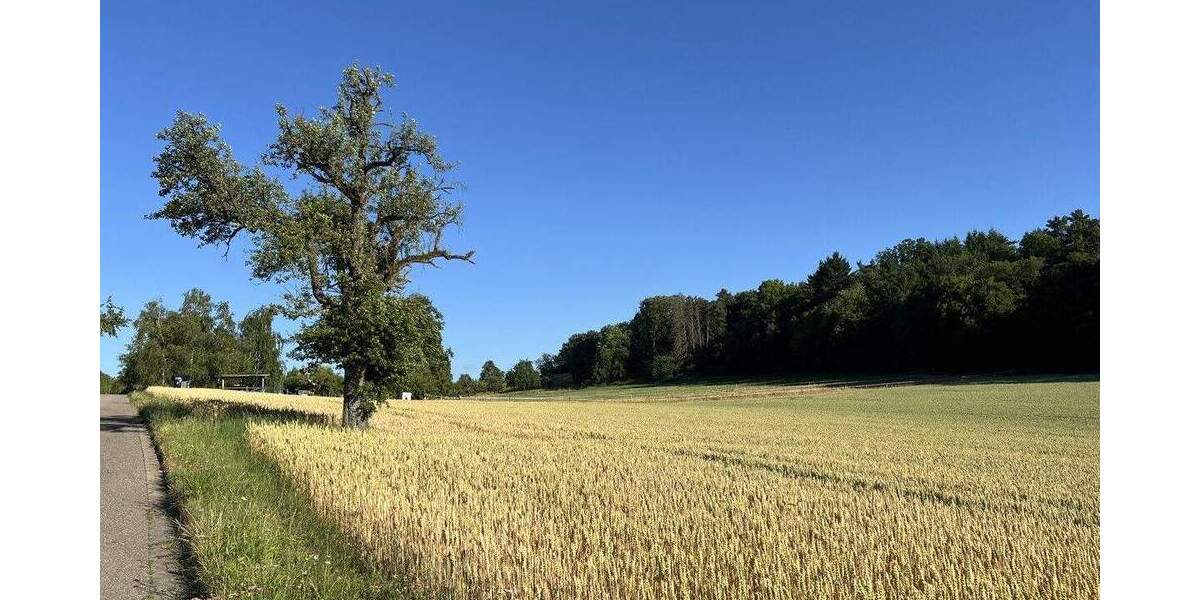 Einfamilienhaus Weissach / Flacht Flacht - 6 Zimmer, 174 m&sup2;, 898.615&euro; | Angebot:25672467