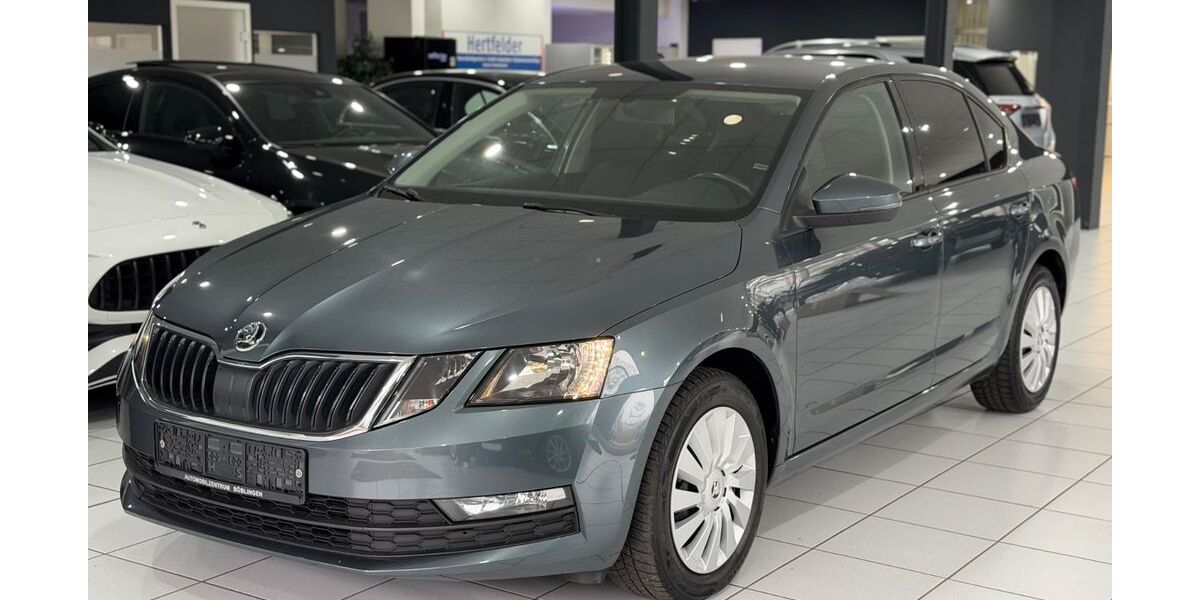 Skoda Octavia 75.000 km 14.990 &euro; Weil im Schönbuch 71093