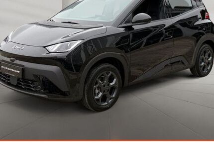 BYD DOLPHIN 4.000 km 23.690 &euro; Kirchheim unter Teck 73230