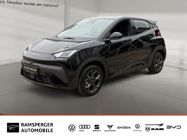 BYD DOLPHIN 4.000 km 23.690 &euro; Kirchheim unter Teck 73230