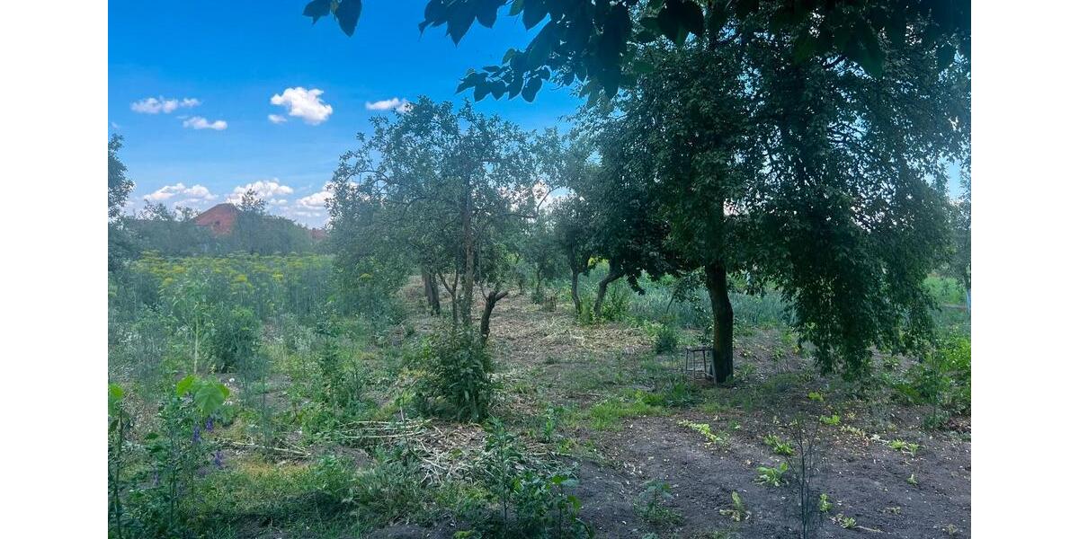Einfamilienhaus Stuttgart Zuffenhausen - 22.000&euro; | Angebot:26988607