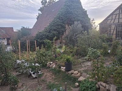 GRUNDSTÜCK IN TRAUMHAFTER LAGE PANORAMABLICK - Gewerbeobjekt Ludwigsburg Oßweil | Angebot:27710476