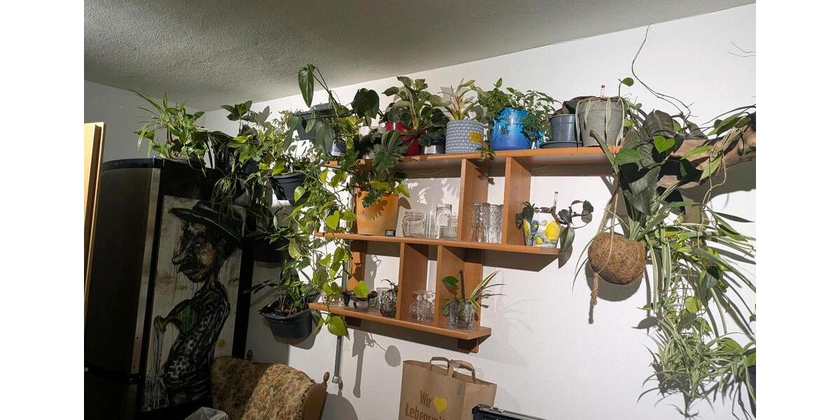 Etagenwohnung Bietigheim-Bissingen Bissingen - 2 Zimmer, 25 m&sup2;, 500&euro; | Angebot:25418034