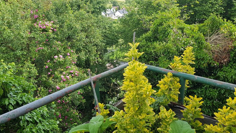 Bauernhaus, Landhaus Ohmden - 5 Zimmer, 120 m&sup2;, 290.000&euro; | Angebot:25612413