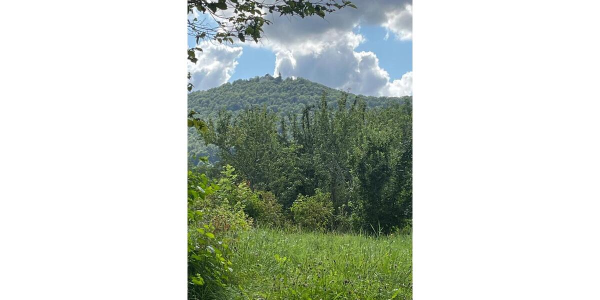 Grundstück Bissingen an der Teck Bissingen - 345.000&euro; | Angebot:25696488